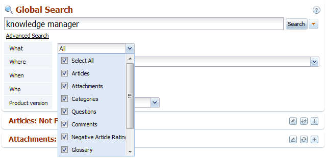 The What option in back-end search of knowledge base software